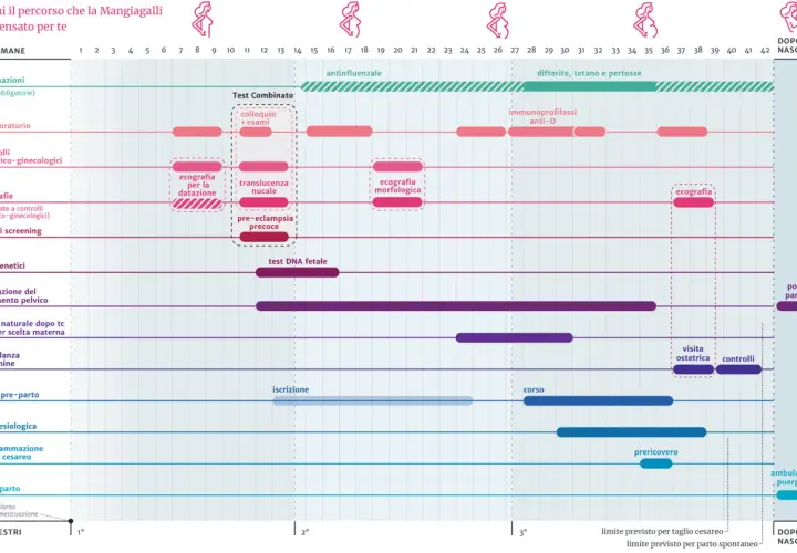 Calendario gravidanza: esami di laboratorio, ecografie, test genetici e analisi del sangue per la gravidanza, vaccinazioni e controlli ostetrici.