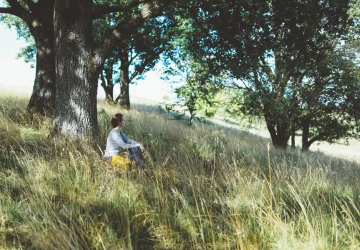 En person sitter i gräset under ett träd. Kanske en paus för att bajsa i skogen.