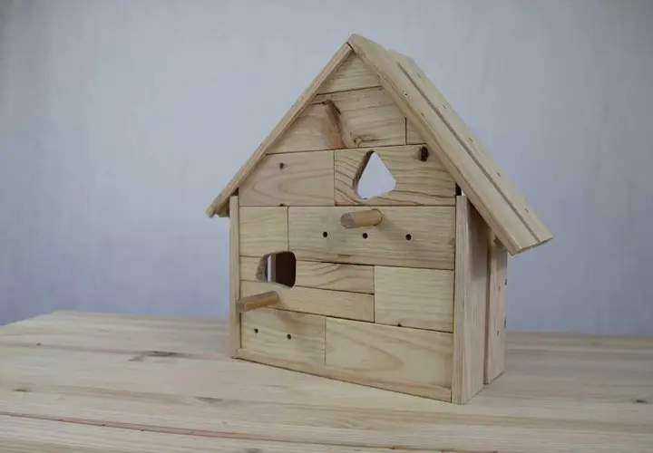Casa de pájaros de madera, un proyecto de manualidades con entrada triangular y perchas.