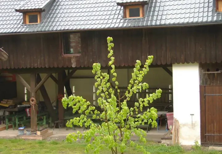 Skansen Gottwaldówka - odkryj historię i atrakcje Kątów Bystrzyckich