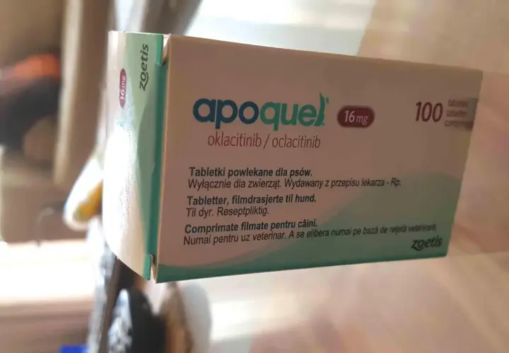 Opakowanie leku Apoquel 16 mg dla psów, zawierające 100 tabletek. Pomaga zwierzętom z problemami skórnymi.