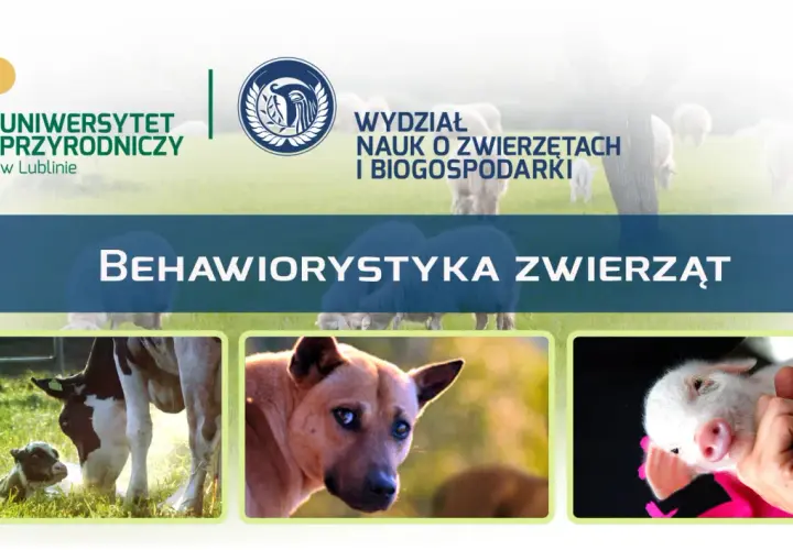 Uniwersytet Przyrodniczy w Lublinie zaprasza na studia z behawiorystyki zwierząt. Zobacz urocze cielątko, psa i prosiaczka.