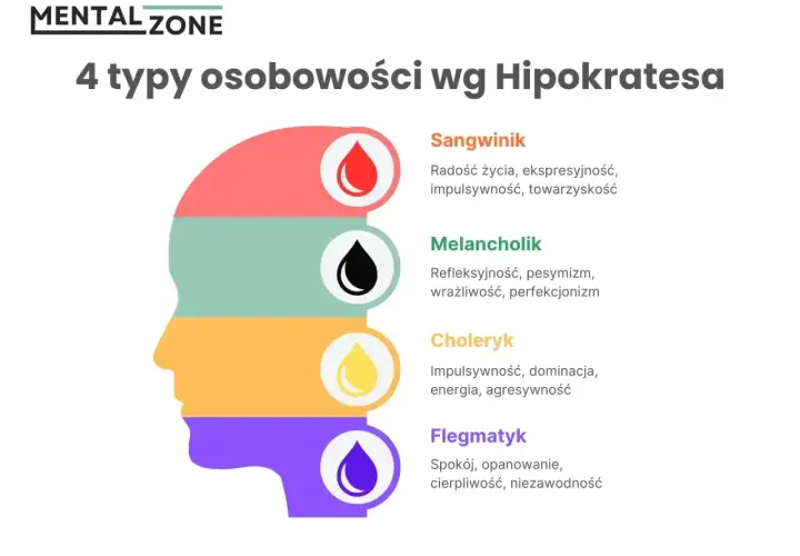 Profil głowy podzielony na 4 kolory, ilustrujący 4 typy osobowości wg Hipokratesa: sangwinik, melancholik, choleryk, flegmatyk.