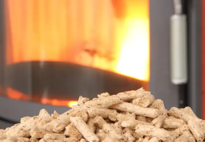 Un tas de granulés de bois attend patiemment devant un poêle à granule en feu. La chaleur réconfortante du feu promet une ambiance chaleureuse.