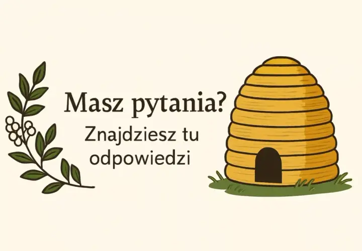 Czy miód ma termin ważności? Dowiedz się, jak długo jest bezpieczny