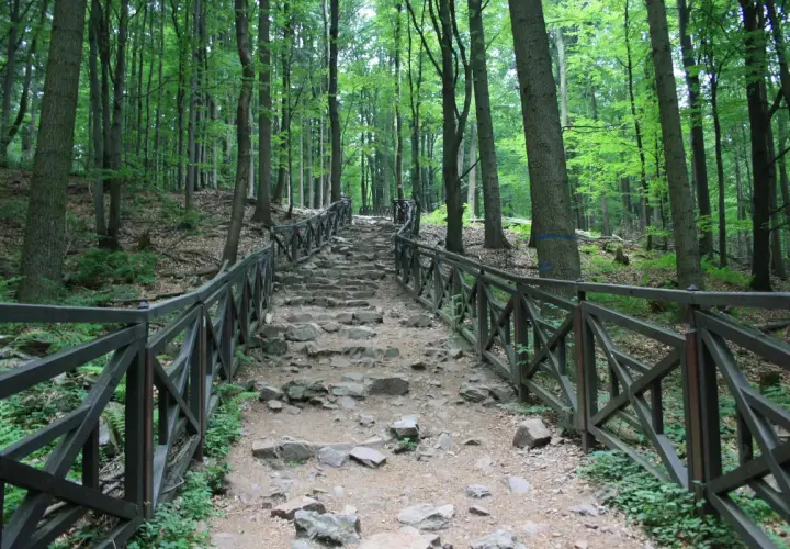 Kamienne schody wijące się przez las w Górach Świętokrzyskich, otoczone drewnianą balustradą.
