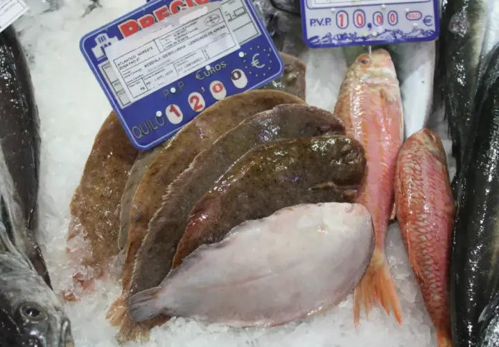 Pescado fresco en hielo: lenguados, salmonetes y otros peces. El cartel indica "acedia pescado" y su precio por kilo.