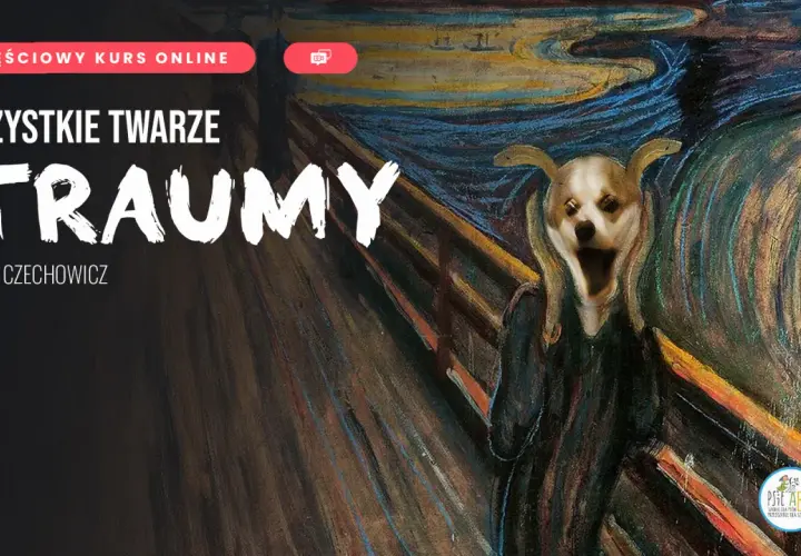 Objawy zaburzeń adaptacyjnych: rozpoznaj, zrozum, działaj!