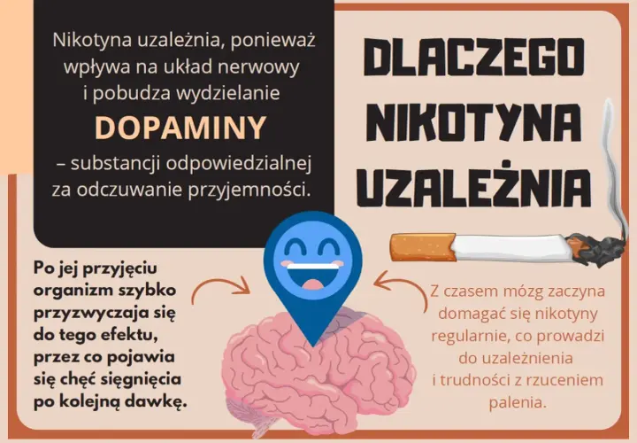 Nikotyna uzależnia, bo wpływa na mózg i dopaminę. Organizm szybko się przyzwyczaja, co prowadzi do chęci sięgnięcia po kolejną dawkę.