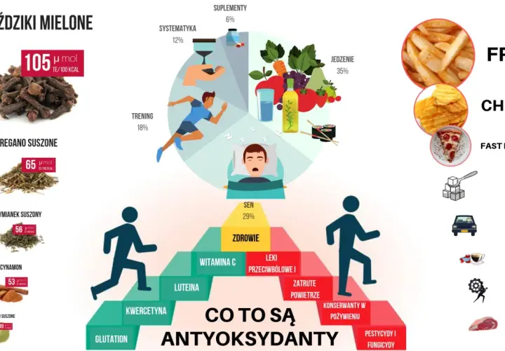 Co to są antyoksydanty? Grafika pokazuje źródła i czynniki wpływające na ich poziom: goździki, oregano, cynamon, sen, trening, jedzenie, suplementy.