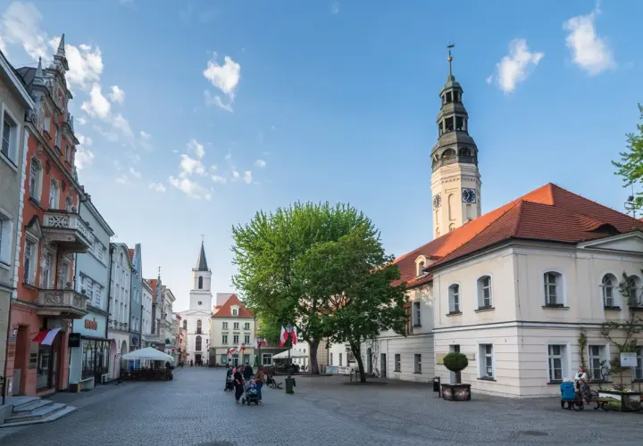 Zielona Góra – w jakim województwie leży i co warto wiedzieć o regionie
