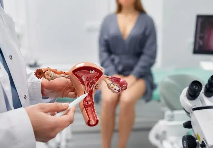 Lekarz pokazuje model narządów rodnych, wskazując na obszar, który może być dotknięty nadżerką. Pacjentka siedzi w tle.