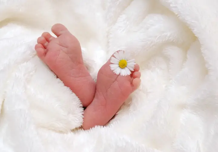 Piccoli piedini di neonato avvolti in una coperta soffice, con un fiorellino che ricorda il riflesso di Babinski.