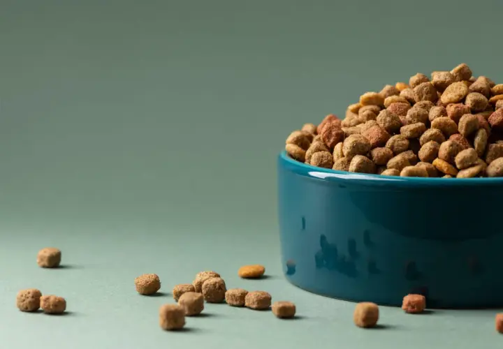 Un cuenco azul lleno de pienso para perros, ideal para criadores de perros que buscan la mejor nutrición.