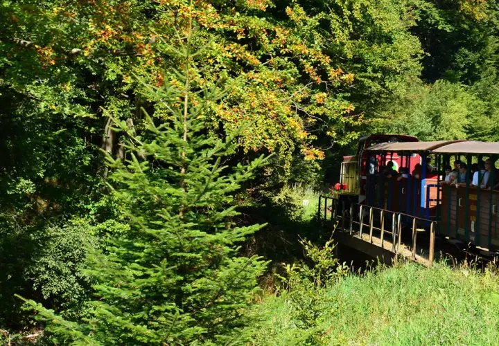 Bieszczady: Majdan Kolejka Leśna, szlaki i atrakcje. Co odkryjesz?
