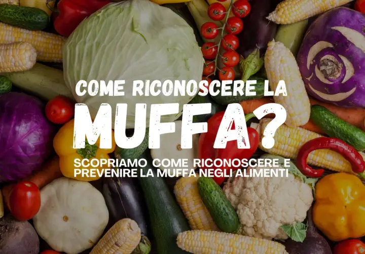 Verdure fresche e colorate, tra cui cavoli, mais e peperoni, circondano il testo "Come riconoscere la muffa?". Evita le patate pelose e altri alimenti ammuffiti.