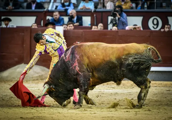 Emilio de Justo, torero, se enfrenta a un toro en Las Ventas. El público observa atento.