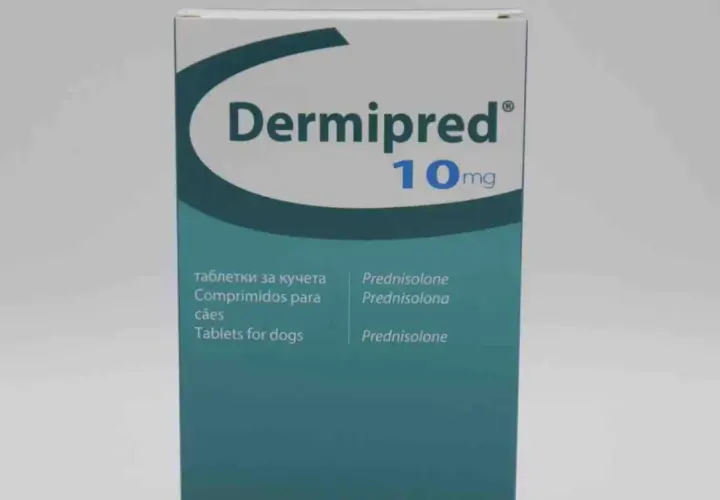 Opakowanie leku Dermipred 10mg, zawierające tabletki z prednizolonem dla psów.