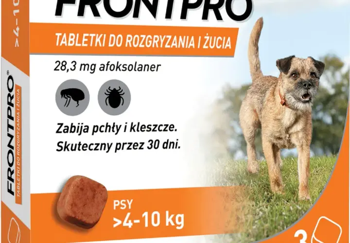 Tabletki na kleszcze dla psa: Które wybrać? Bezpieczny przewodnik