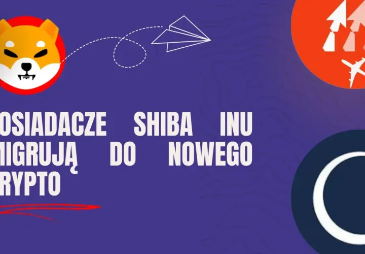 Posiadacze shiba inu migrują do nowego krypto ICO, aby polować na tokeny z 1000% ROI