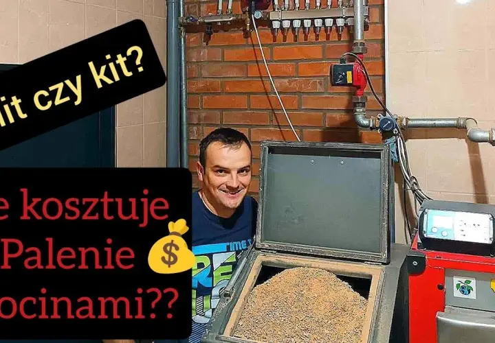 Czy warto mieszać ekogroszek z trocinami? Odkryj zalety i ryzyka