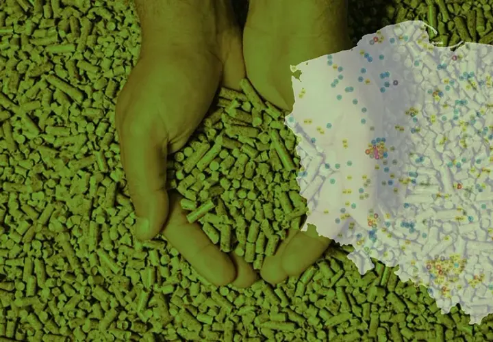 Gdzie kupić pellet? Sprawdzone miejsca i najlepsze oferty w Polsce