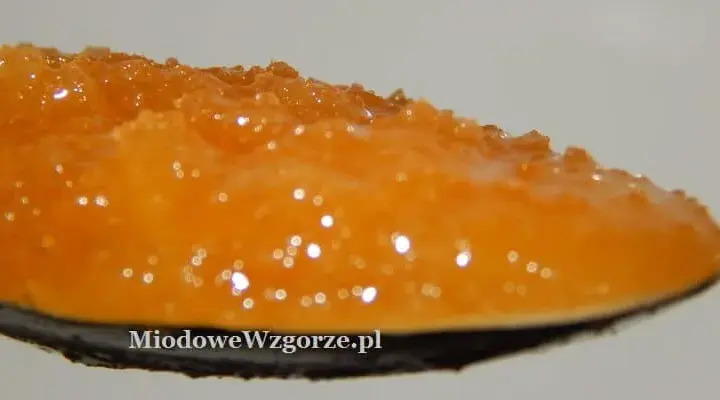 Ile kalorii ma łyżka miodu? Wartość odżywcza i porównanie z innymi produktami