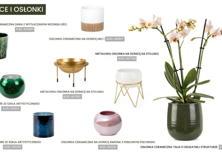 Jaka doniczka do storczyka? Elegancka, zielona, ceramiczna osłonka Talia podkreśli piękno Twojej rośliny.