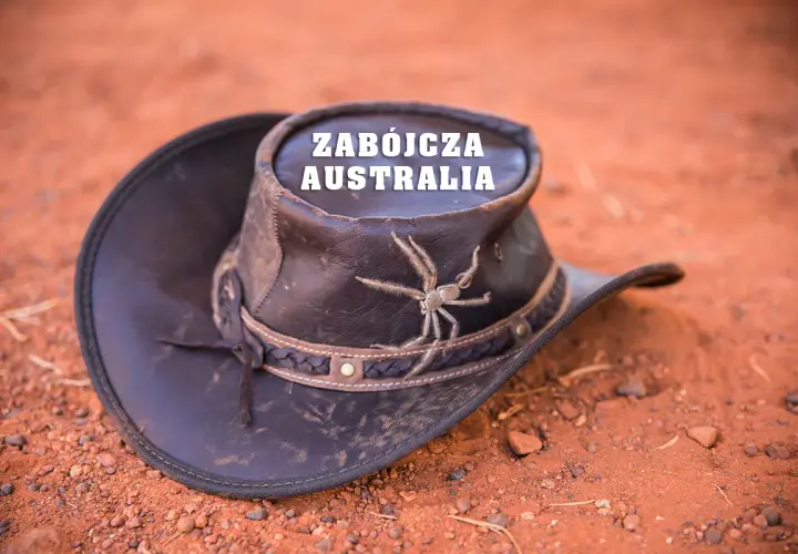 Czy w Australii jest bezpiecznie? Odkryj zagrożenia i bezpieczeństwo