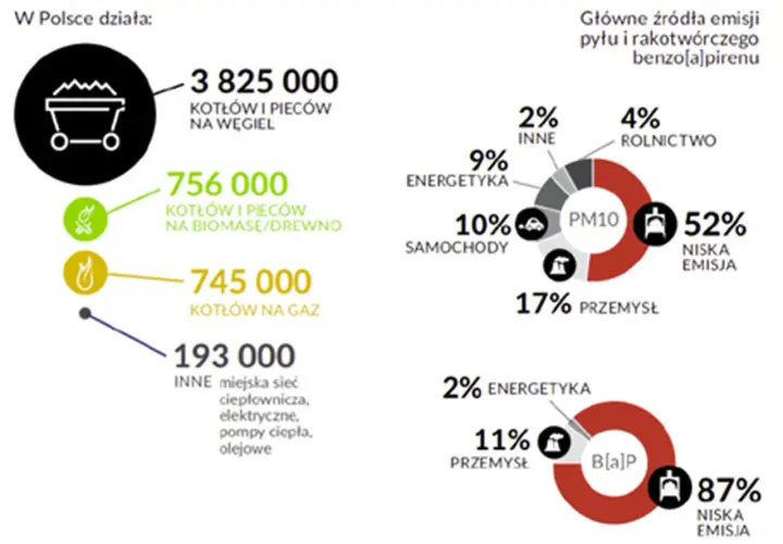 Infografika przedstawia źródła emisji smogu w Polsce: kotły na węgiel, biomasę, gaz oraz inne źródła.