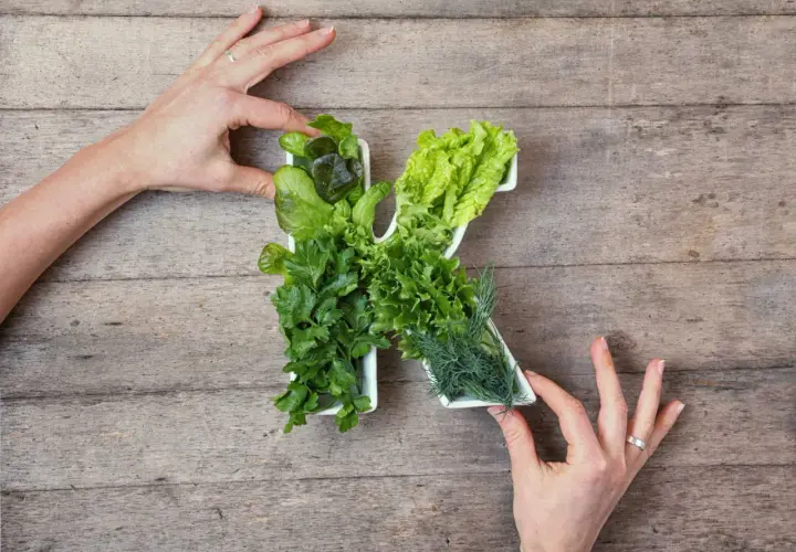 Verdure fresche a forma di K, per ricordare che la vitamina K2 a cosa serve: salute delle ossa e del cuore.