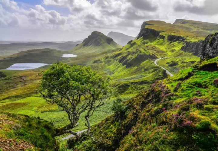 Winding road through lush green hills, a solitary tree, and distant lochs showcase the beauty of hiking trails in Scotland.