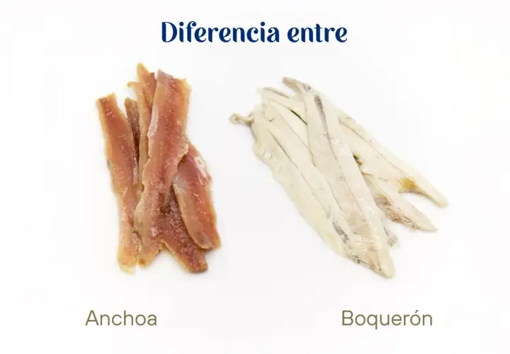 Dos montones de pescado: a la izquierda, filetes rojizos de anchoas; a la derecha, filetes blanquecinos de boquerones.