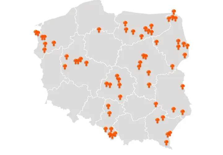 Mapa Polski z zaznaczonymi miejscami, gdzie są grzyby. Pomarańczowe pinezki w kształcie grzybów wskazują popularne lokalizacje dla grzybiarzy.