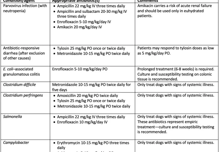 Table detailing antibiotic treatments for canine infections, including Clostridium difficile and Clostridium perfringens.