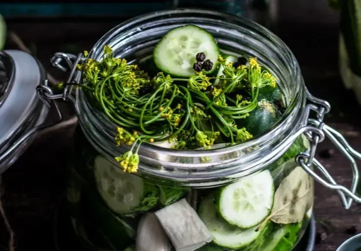 Dlaczego ogórki kiszone są kwaśne? Odkryj sekrety fermentacji