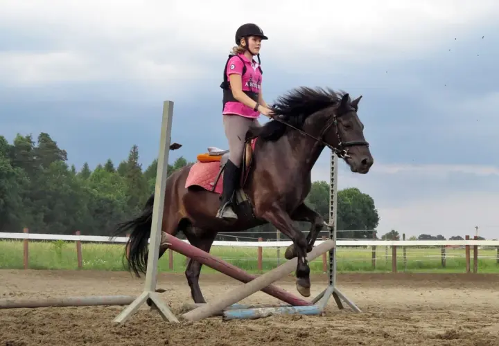 Klub Sportowy Equiright: najlepsze lekcje jazdy konnej w Warszawie