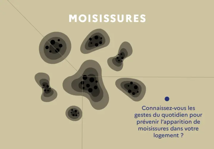 Des taches sombres et circulaires, symbolisant le problème d'humidité dans une maison, sont représentées. Le texte invite à découvrir comment prévenir les moisissures.