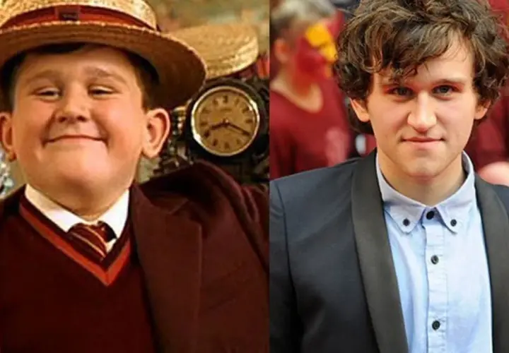 Harry Melling: od Dudleya Dursleya po dorosłego aktora. Jego filmy, seriale i programy to dowód metamorfozy.