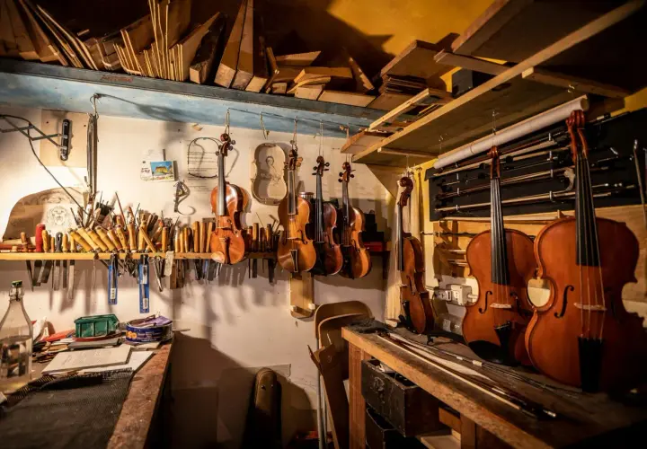 Laboratorio liutaio: violini, viole, violoncelli e archi appesi. Legname e attrezzi da lavoro, con un vasetto di kerria lacca.