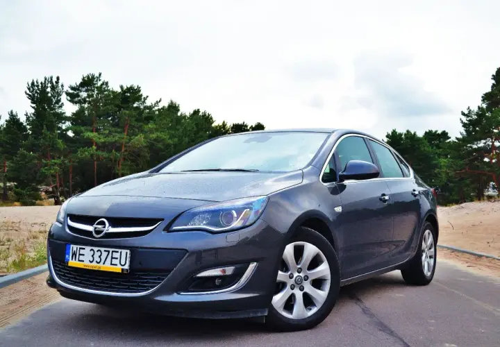 Szary Opel Astra 2025 na tle sosnowego lasu. Elegancki sedan gotowy na każdą podróż.