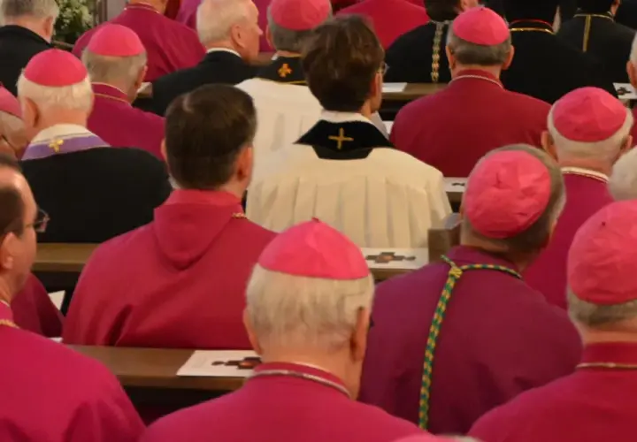 Bischöfe und Kardinäle in roten und weißen Gewändern, einige mit pinken Kopfbedeckungen. Der Unterschied zwischen Bischof und Kardinal ist in der Hierarchie erkennbar.
