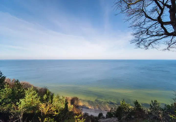 Widok z **wzgórza Gosań** na spokojne morze i piaszczystą plażę. Na pierwszym planie drzewa i zieleń.