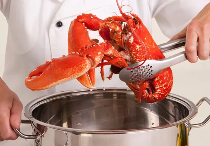 Manos de chef sostienen un bogavante cocido con pinzas sobre una olla de acero inoxidable.