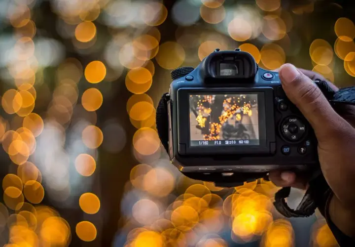 Jaki obiektyw do bokeh wybrać? Poradnik dla pięknego rozmytego tła w zdjęciach