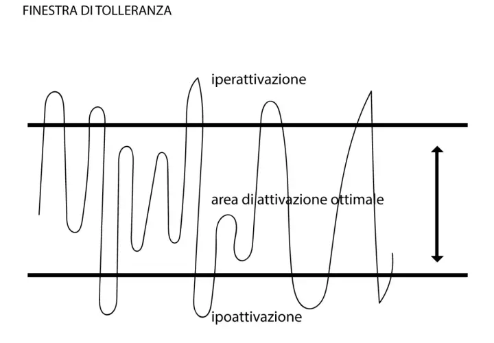 Grafico che illustra la "finestra di tolleranza", mostrando come le fluttuazioni emotive (iperattivazione e ipoattivazione) rendano difficile gestire le emozioni, rimanendo nell'area ottimale.
