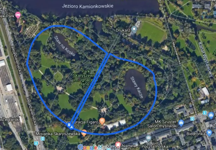 Park Skaryszewski w Warszawie to idealne miejsce, gdzie biegać można wokół stawów i zielonych alejek.