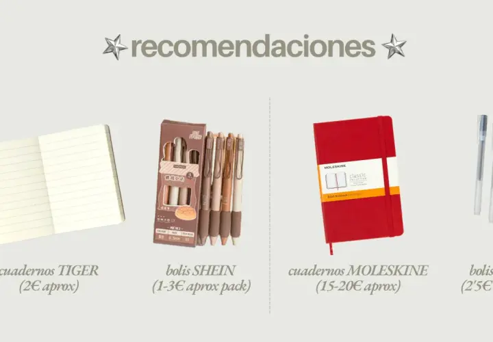 Ideas para journaling: cuadernos TIGER, bolis SHEIN, Moleskine y MUJI.