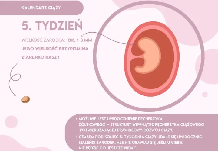 Skok rozwojowy 5 tydzień objawy - co zmienia się u niemowlaka?