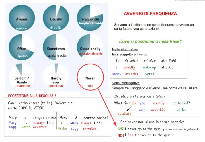 Diagramma con avverbi di frequenza in inglese: Always, Usually, Often, Sometimes, Seldom/Rarely, Hardly ever, Frequently, Occasionally, Never. Spiega la loro posizione nelle frasi.